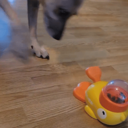 🔥50% off limited-time sale🔥 |Pet Treat Dispenser Toy,Dogs Puzzle Feeder, Interactive Dog Toy