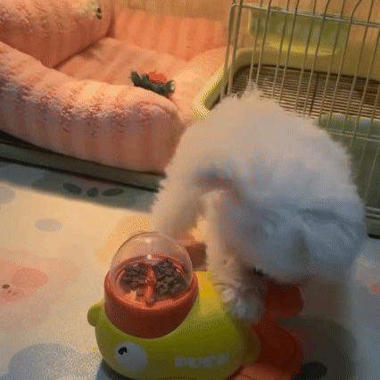 🔥50% off limited-time sale🔥 |Pet Treat Dispenser Toy,Dogs Puzzle Feeder, Interactive Dog Toy