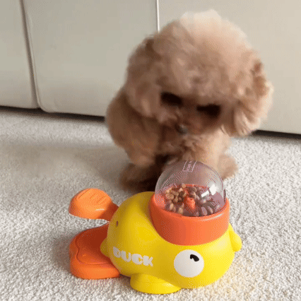 🔥50% off limited-time sale🔥 |Pet Treat Dispenser Toy,Dogs Puzzle Feeder, Interactive Dog Toy